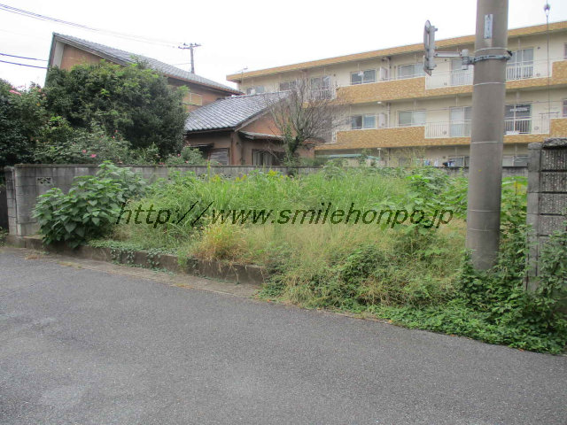 写真 写真